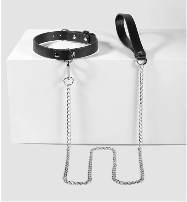 SM training kit - Image 7